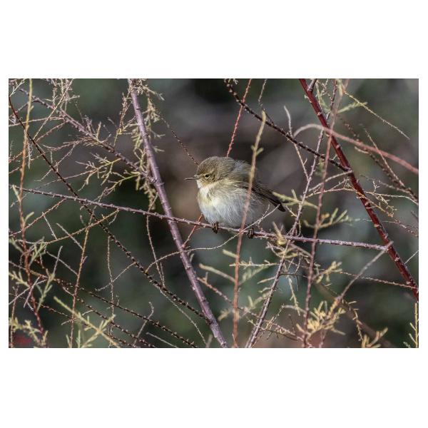 PHOTO84, CLUB, 84 , LUBERON